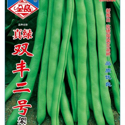 供应真绿双丰二号架豆 ——菜豆种子