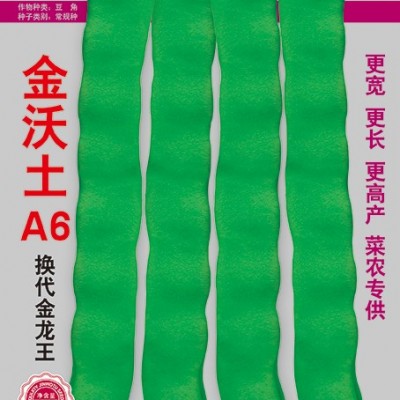 供应金沃土A6—架豆种子