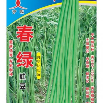 供应春绿—豇豆种子