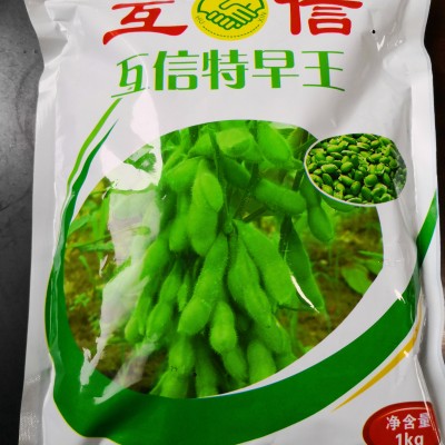 供应互信特早王—菜豆种子