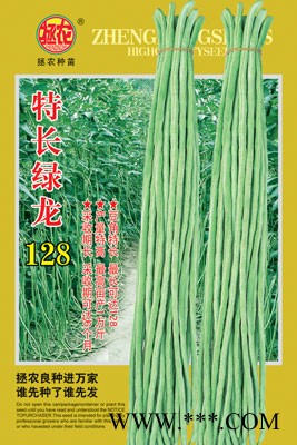 供应特长绿龙128—豇豆种子