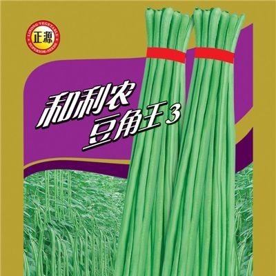 供应利农豆角王3号(3063)－菜豆种子