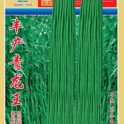 供应丰产青龙王—豇豆种子