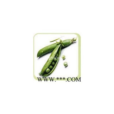 供应中豌2号—豌豆种子