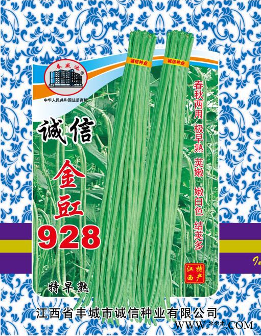供应金豇928豇豆种子