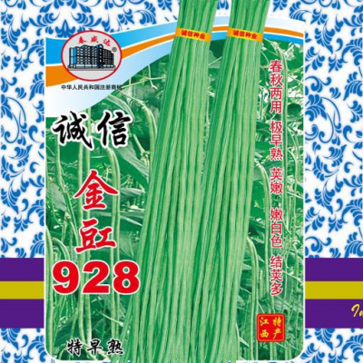 供应金豇928豇豆种子