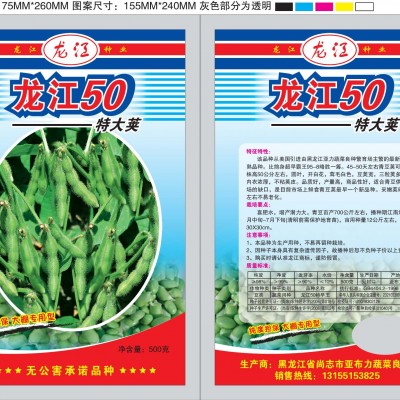 供应龙江50—菜豆种子