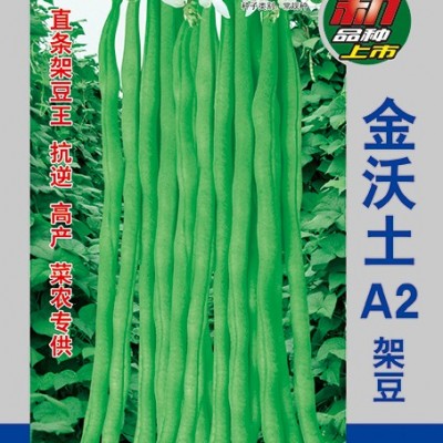 供应金沃土A2—架豆种子