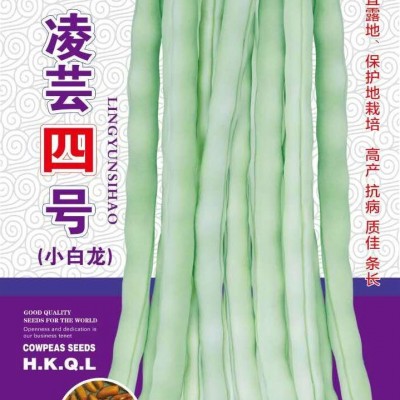 供应凌芸四号—菜豆种子
