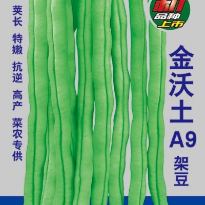 供应金沃土A9—架豆种子