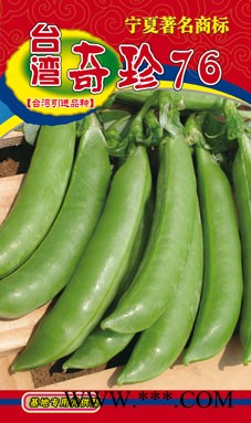 供应奇珍76—豌豆种子