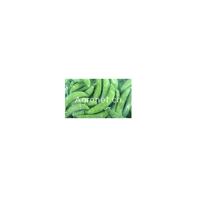 供应豌豆种子-爽密甜脆碗豆种（338）