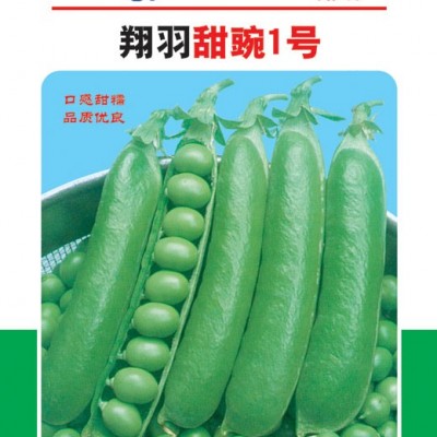 供应甜豌一号-菜豆种子