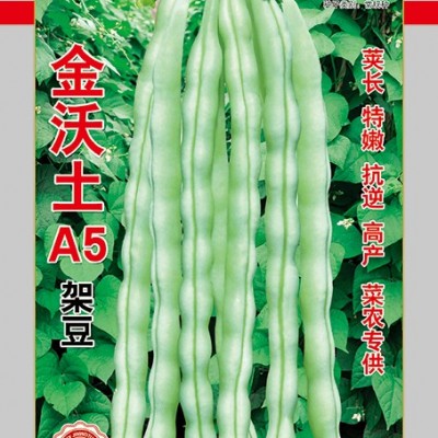 供应金沃土A5—架豆种子