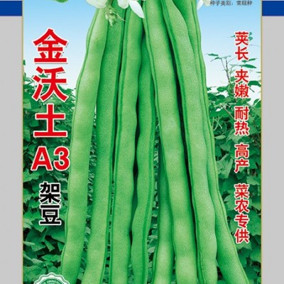 供应金沃土A3—架豆种子