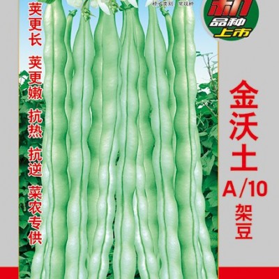 供应金沃土A10—架豆种子