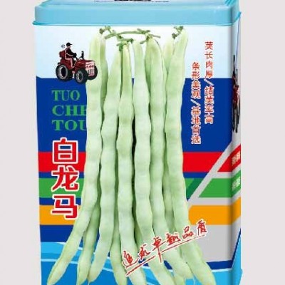 供应白龙马方罐——方罐架豆系列