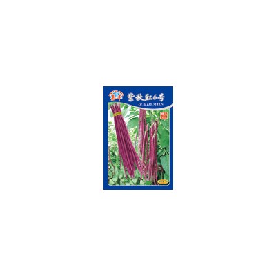 供应紫秋豇6号--豇豆种子