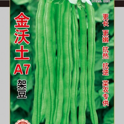 供应金沃土A7—架豆种子