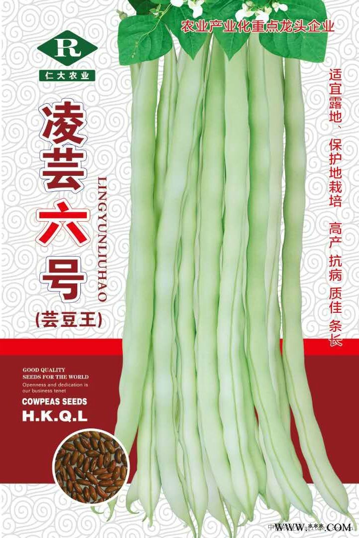 供应凌芸六号—菜豆种子