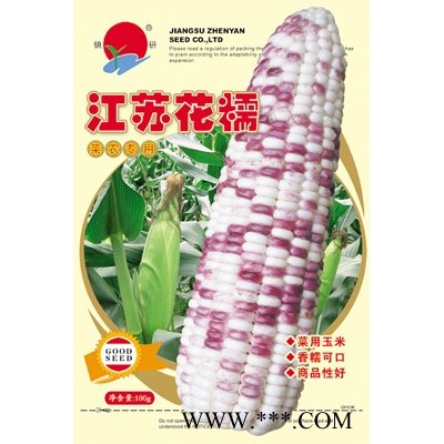 供应江苏花糯—玉米种子
