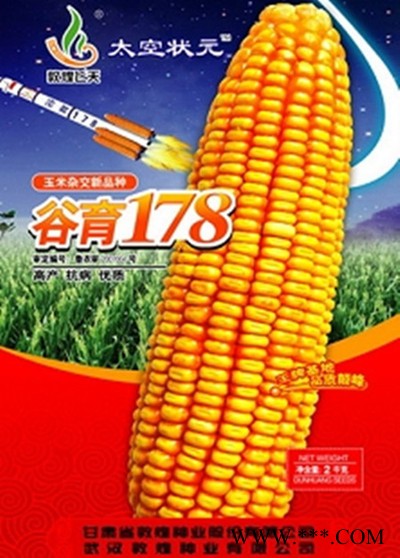 供应汶农玉6号—菜用玉米种子