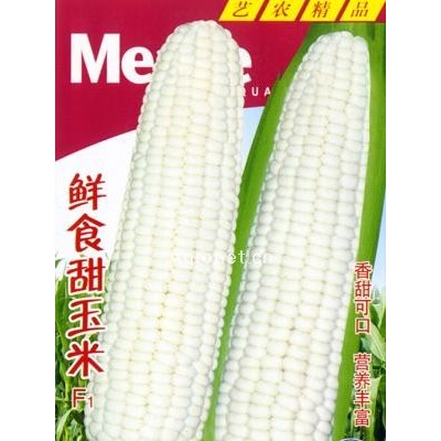 供应鲜食甜玉米F1—菜用玉米种子