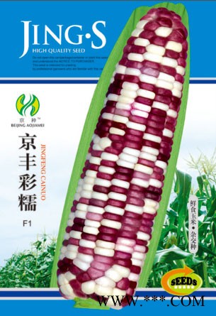 供应京丰彩糯—菜用玉米种子