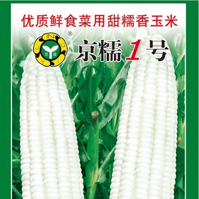 供应京糯一号—菜用玉米种子