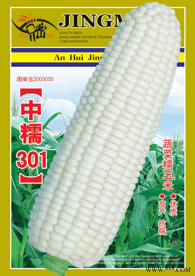 供应中糯301-玉米种子