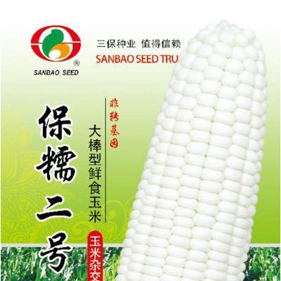 供应保糯二号—菜用玉米种子