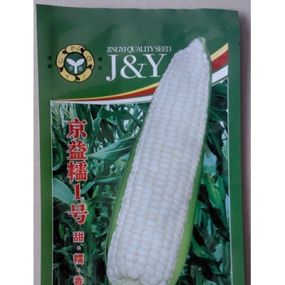 供应京益糯1号—糯玉米种子