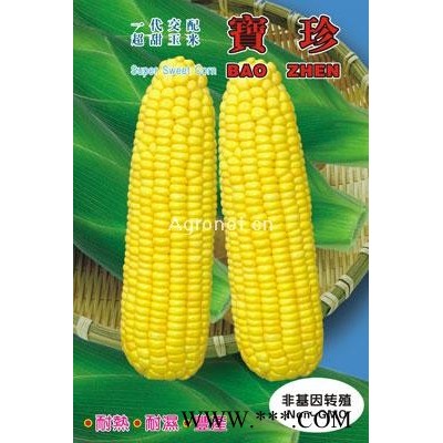 宝珍——玉米种子