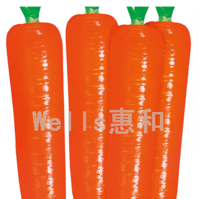 供应红圣十号－胡萝卜种子