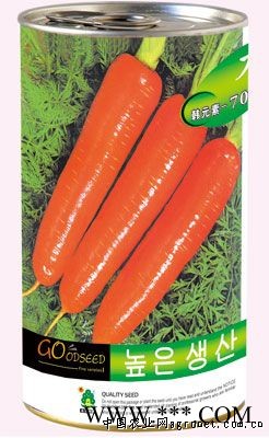 供应韩元素—70——胡萝卜种子