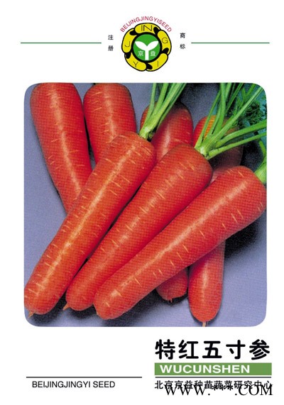 供应特红五寸参—胡萝卜种子