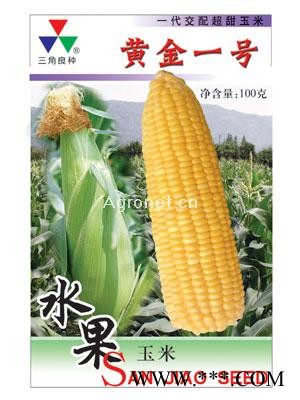 供应黄金一号—菜用玉米种子