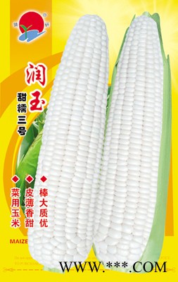 供应润玉(甜糯三号)—玉米种子