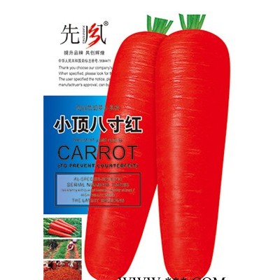 供应小顶八寸红—萝卜种子