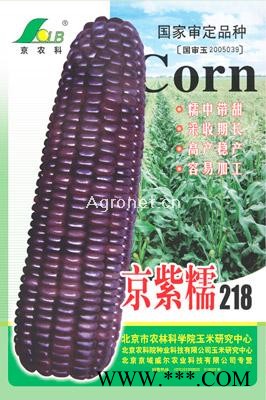 供应京紫糯218——玉米种子