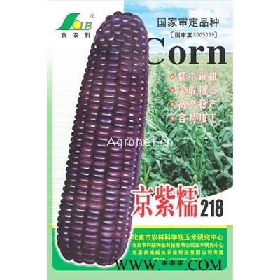 供应京紫糯218——玉米种子