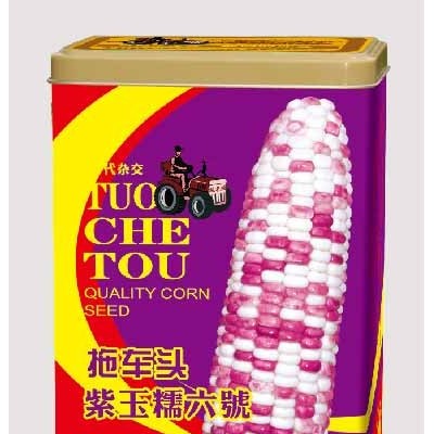 供应紫玉糯六号罐——双色大棒玉米系列