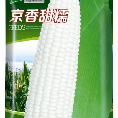 供应京香甜糯－玉米种子