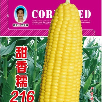 供应甜香糯216玉米种子