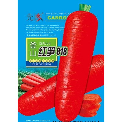 供应釜山红笋818—萝卜种子