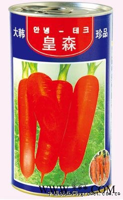 供应皇森——胡萝卜种子