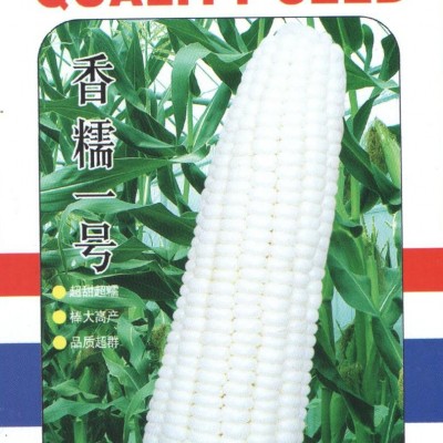 供应香糯一号—玉米种子