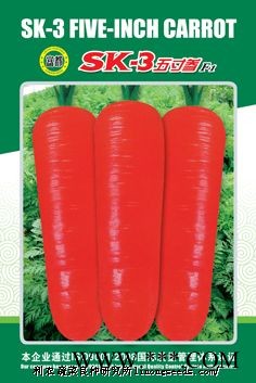 供应SK—3五寸参—胡萝卜种子