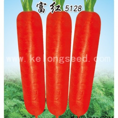 供应富红5128-胡萝卜种子