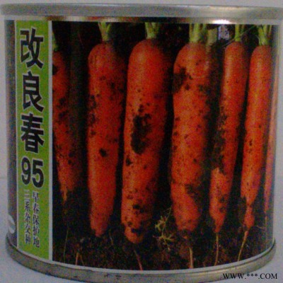 供应改良春95F1—胡萝卜种子